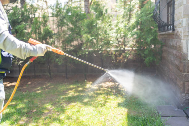 Best Bird Control  in Malone, FL